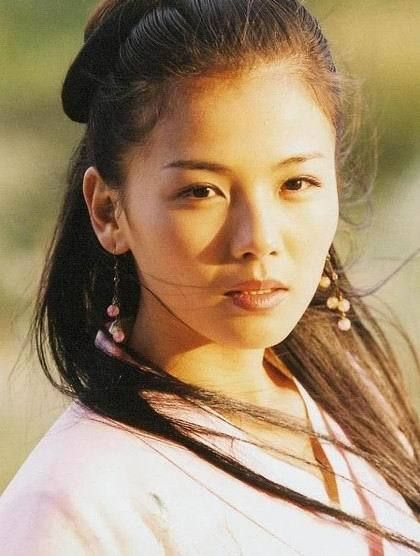 刘涛演过的电视剧,刘涛演过的电视剧全部